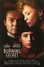 Poster for Burning Secret