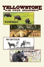 Poster di Yellowstone in Four Seasons