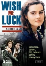 Poster for Wish Me Luck Season 3