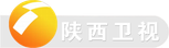 Shaanxi Television