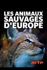 Poster for Les animaux sauvages d'Europe