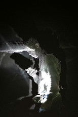 I Don't Think I'm Alone in This