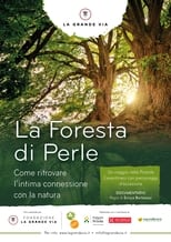 Poster for La foresta di perle 