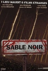 Poster for Sable noir Season 2