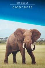 Poster for All About Elephants 