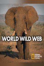 World Wild Web poster