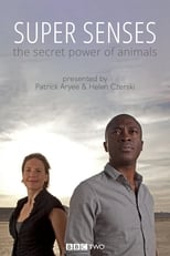 Poster for Super Senses: The Secret Power of Animals