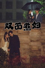 双面煮妇 poster