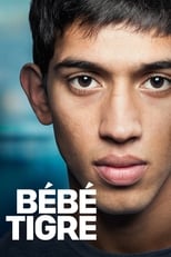 Bébé tigre serie streaming