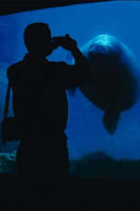 Poster for The Aquarium