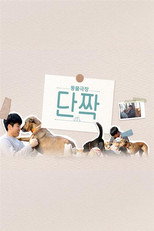 동물극장 단짝 poster