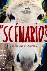 Presentation of the Trailer of a Film "Scénario" main poster