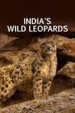 Poster for India's Wild Leopards