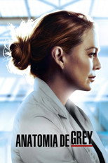 Grey’s Anatomy: 17ª Temporada