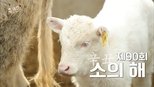 유 퀴즈 온 더 블럭 1x90 (S01E90)