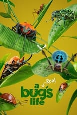 Poster for A Real Bug's Life