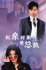 相亲对象是总裁 (2024) poster