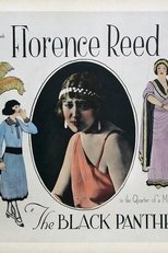 The Black Panther's Cub The Black Panther's Cub