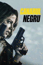 Canarul negru