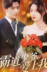 霸道少爷爱上我 poster