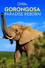 Poster for Gorongosa: Paradise Reborn 