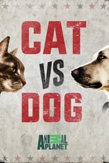 Poster for Cat vs. Dog