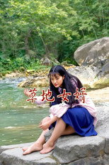 草地女婿 poster