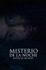 Poster for Mystery of the Night