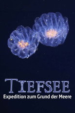 Faszination Tiefsee - Expedition zum Grund der Meere (2026)