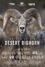 Poster for Return of the Desert Bighorn