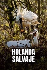 Poster for La Hollande sauvage