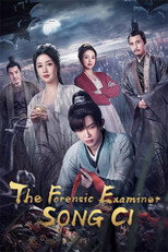 The Forensic Examiner Song Ci poster