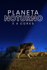 Planeta noturno e a cores