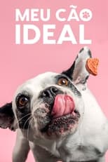 Poster for Mi perro ideal