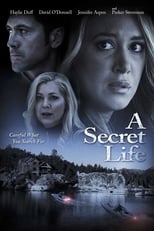 Poster for His Secret Family