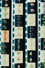 Lover, Lovers, Loving, Love