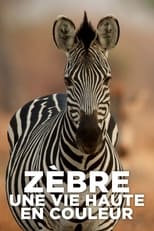 Poster for Zebre, une vie haute en couleur 