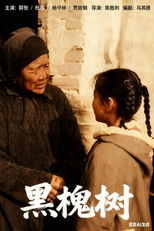 黑槐树 poster