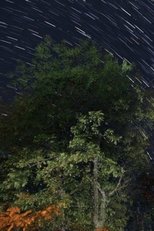 The Summer Triangle The Summer Triangle