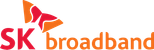 SK Broadband