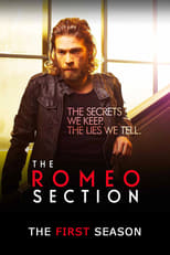 Poster for The Romeo Section Season 1