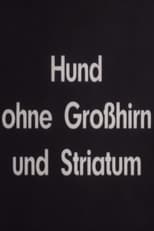 Poster for Hund ohne Großhirn und Striatum 