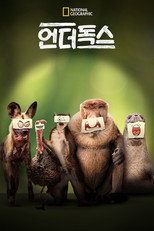 시즌 1