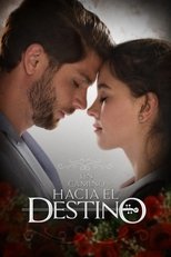 Road to Destiny poster image