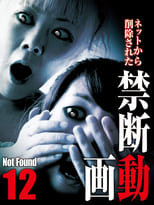 Poster for Not Found 12
