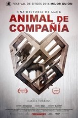 Animal de compañía (HDRip) Español Torrent