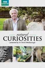 Poster di David Attenborough's Natural Curiosities