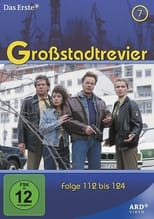 Poster for Großstadtrevier Season 12