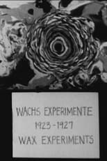 Poster for Wax Experiments
