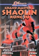 The Divine Martial Arts Of Dharma poster movie